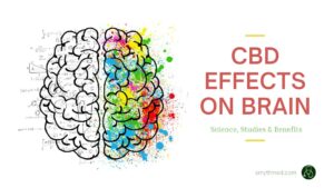 A picture of a sketch of a brain that is half black&white and the other half in color with colorful blotches. Uploaded on smythmed.com as a header of The post named 'CBD effects on brain - Science, Studies, and Benefits'